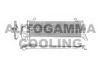 AUTOGAMMA 103287 Condenser, air conditioning